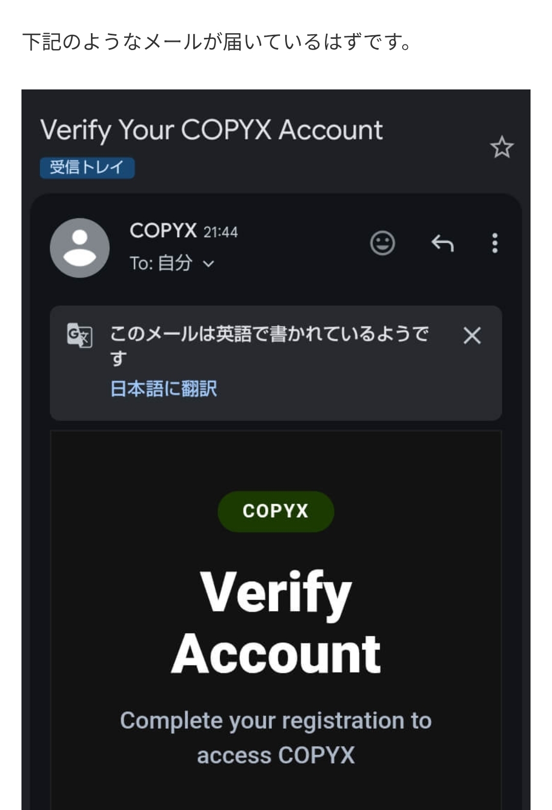 画面 4: メールを認証してログイン
