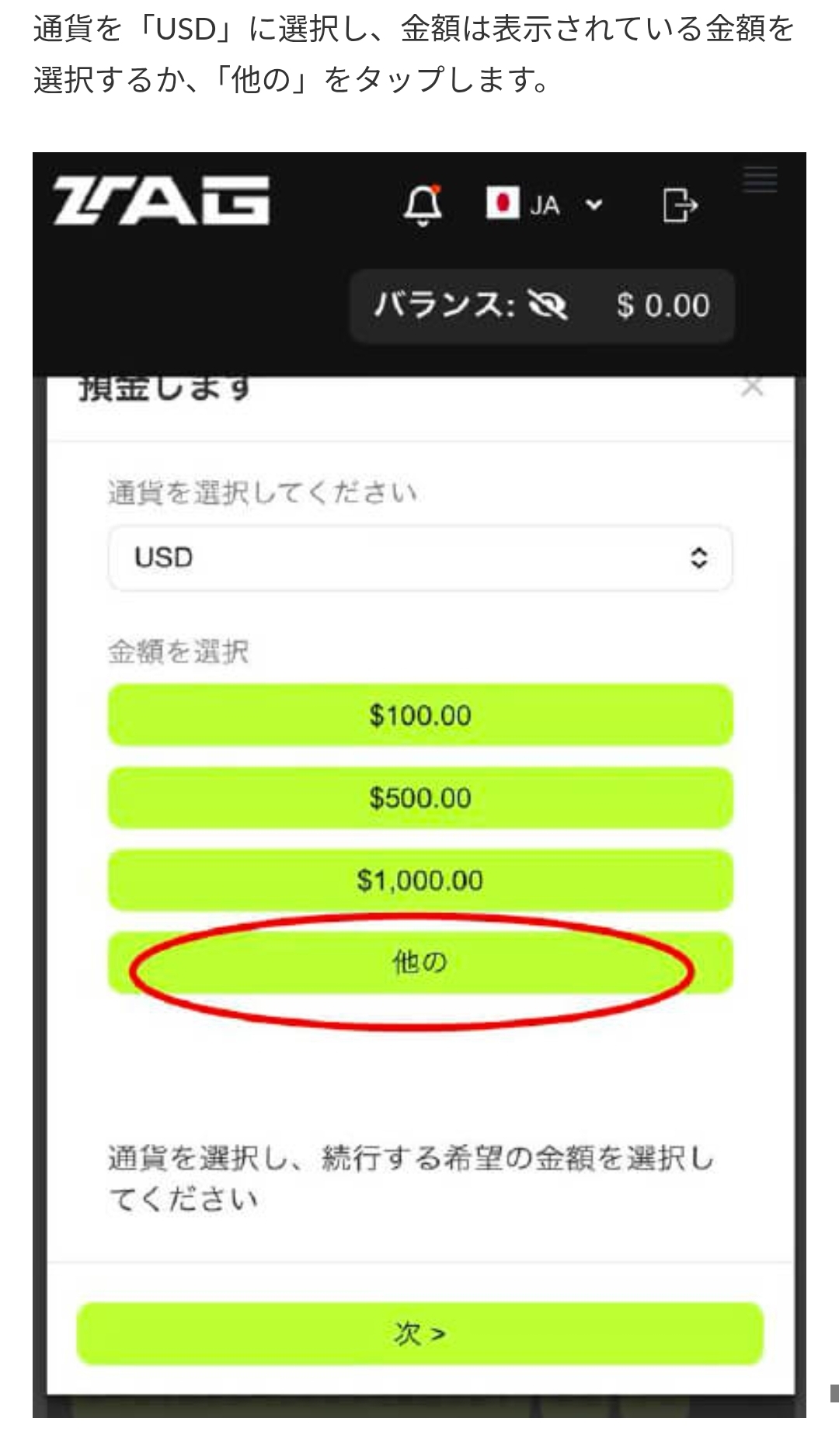 画面 2: 入金画面と送金条件を確認