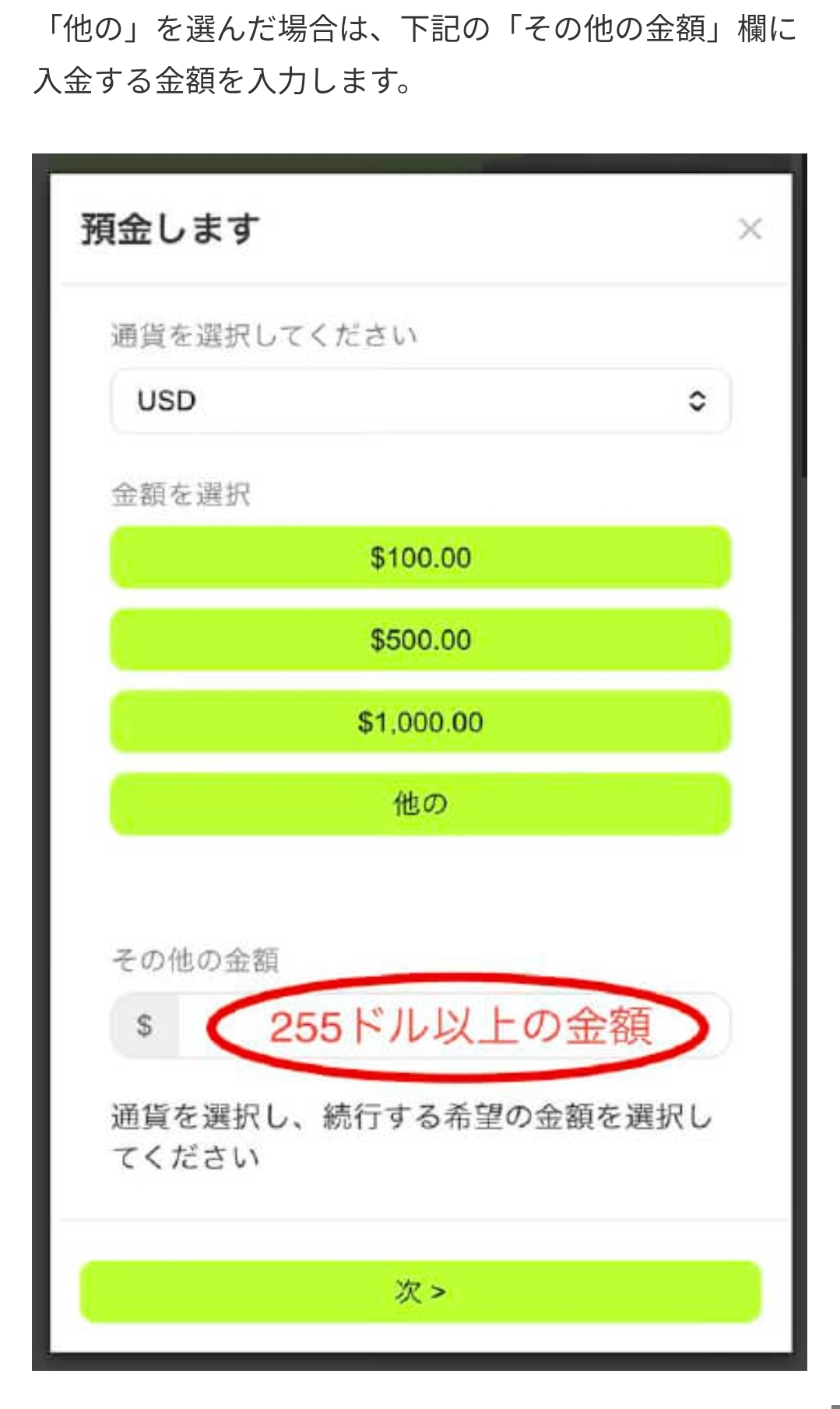 画面 3: 入金画面と送金条件を確認