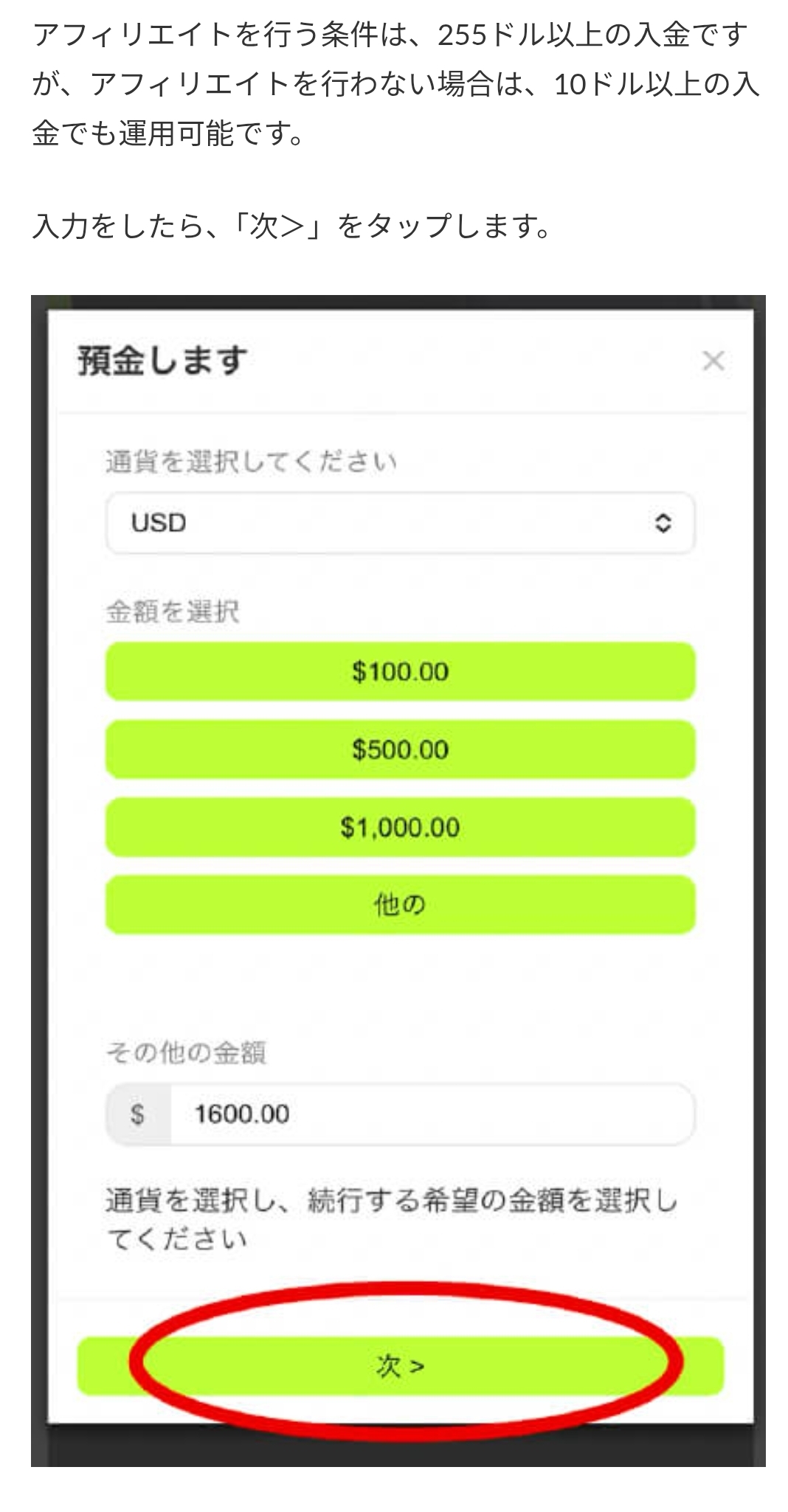 画面 4: 入金画面と送金条件を確認