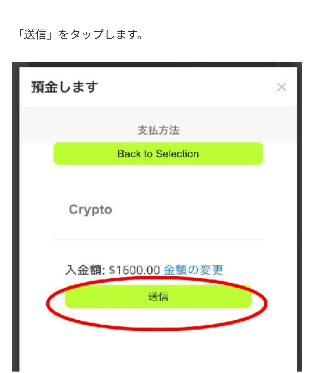画面 5: 入金画面と送金条件を確認