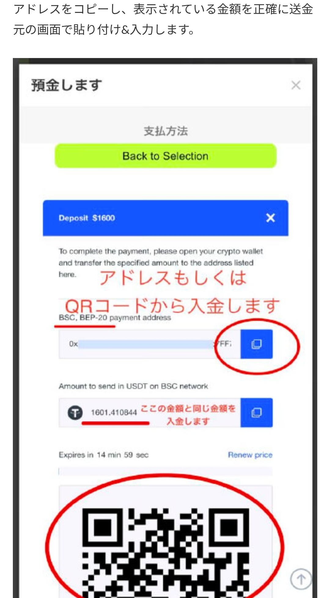 画面 9: 入金画面と送金条件を確認