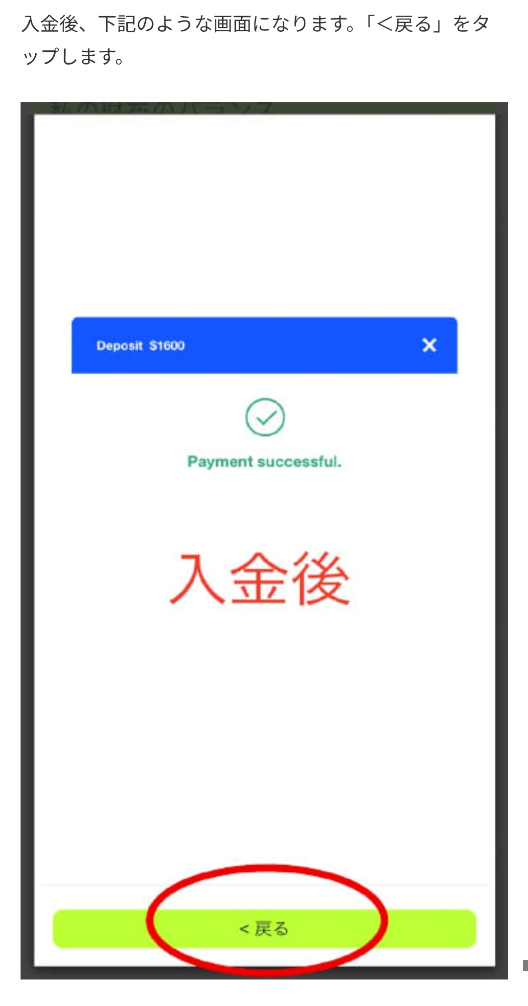 画面 10: 入金画面と送金条件を確認