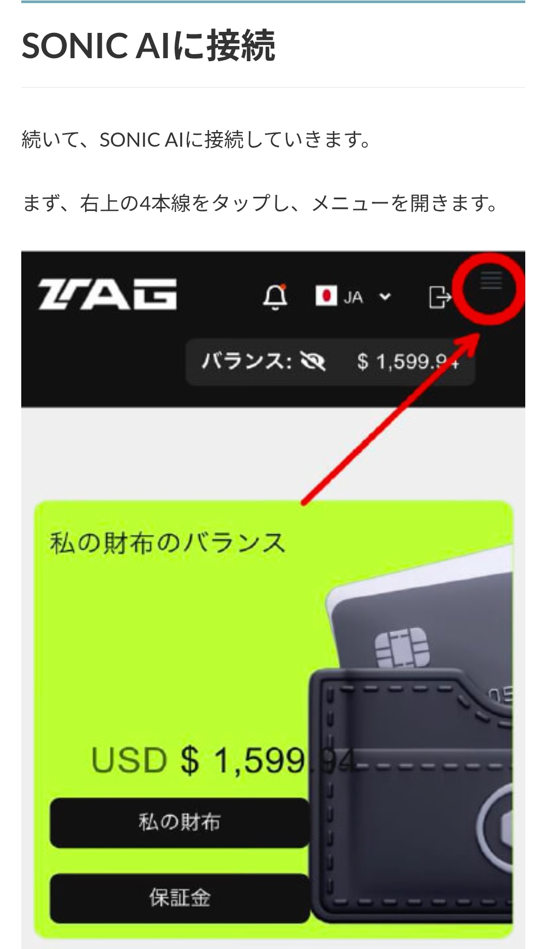 画面 12: 入金画面と送金条件を確認