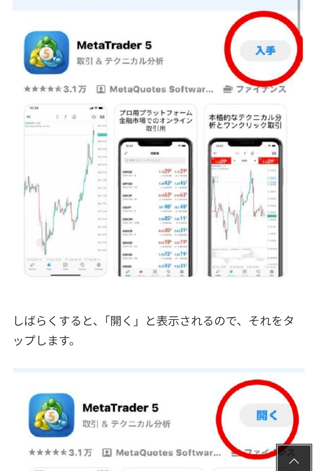 画面 26: 公式MT5アプリとサーバーを確認