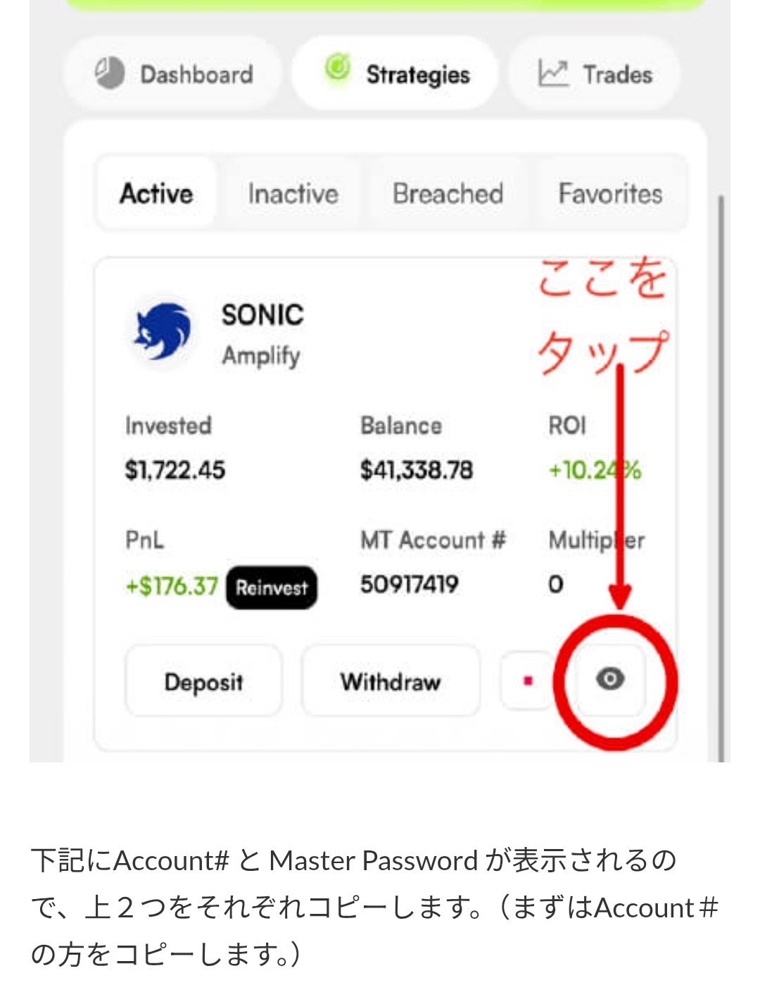 画面 30: 本人の口座情報でMT5にログイン