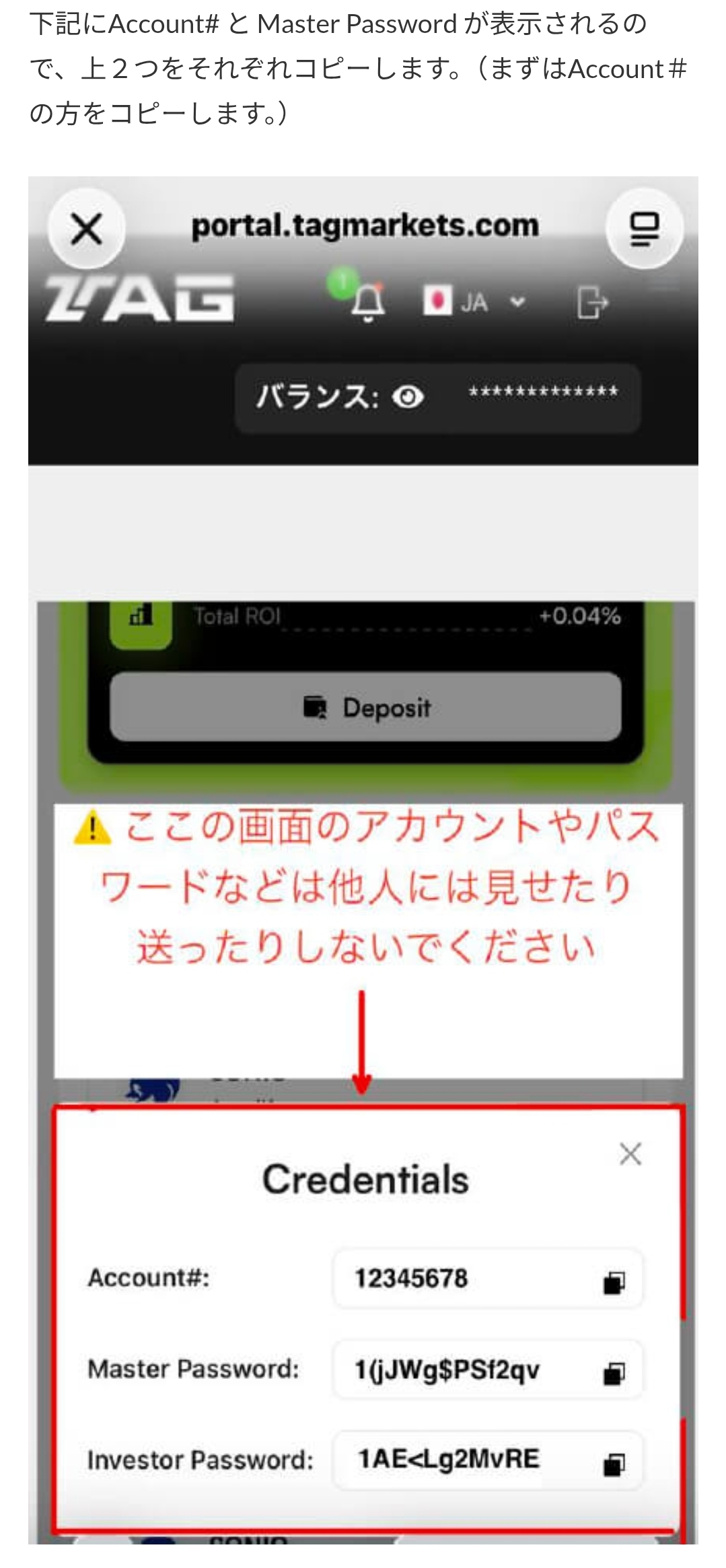 画面 31: 本人の口座情報でMT5にログイン